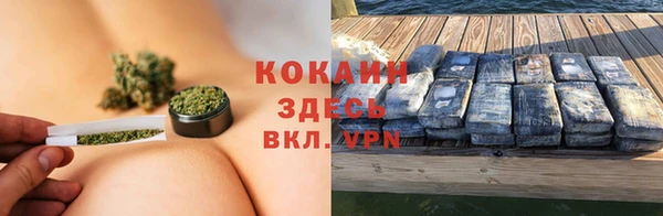 стаф Абаза