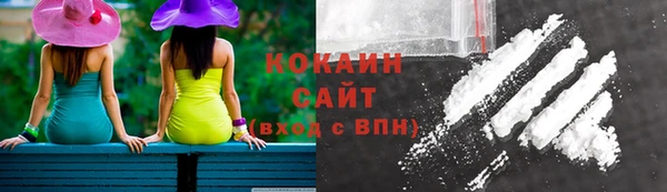 стаф Абаза