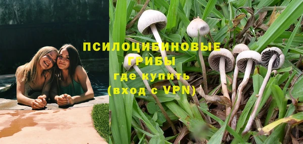 стаф Абаза