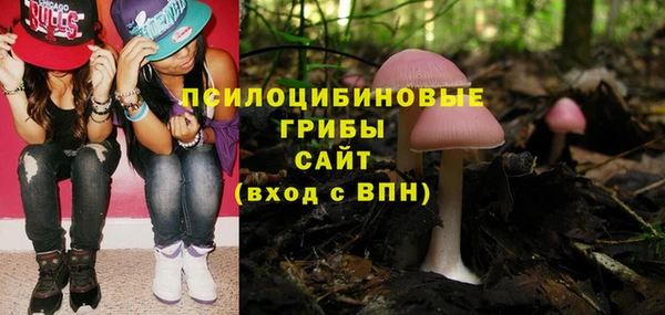 стаф Абаза
