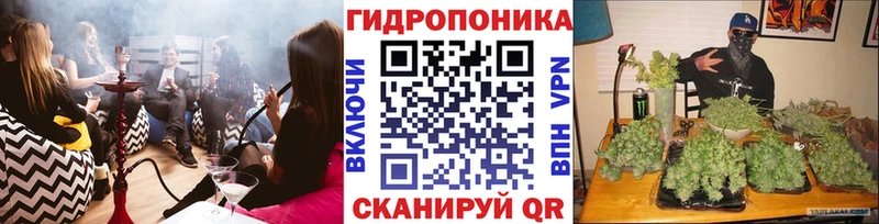 Марихуана OG Kush Рыльск
